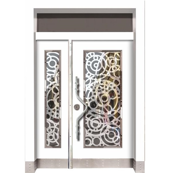 Bina Giriş Kapısı BK20